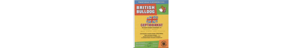   British Bulldog